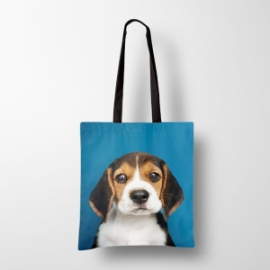 Panel Pies beagle 40x50cm