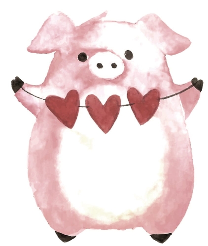 swinka.jpg