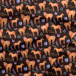 Konie