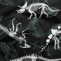 dinozaury