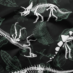 Dinozaury szkielety