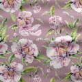 Peonie, piwonie