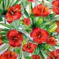 Kwiaty Hibiskusa