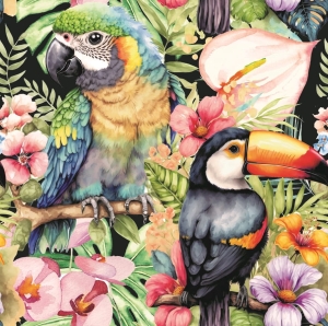 Papugi tukany kwiaty